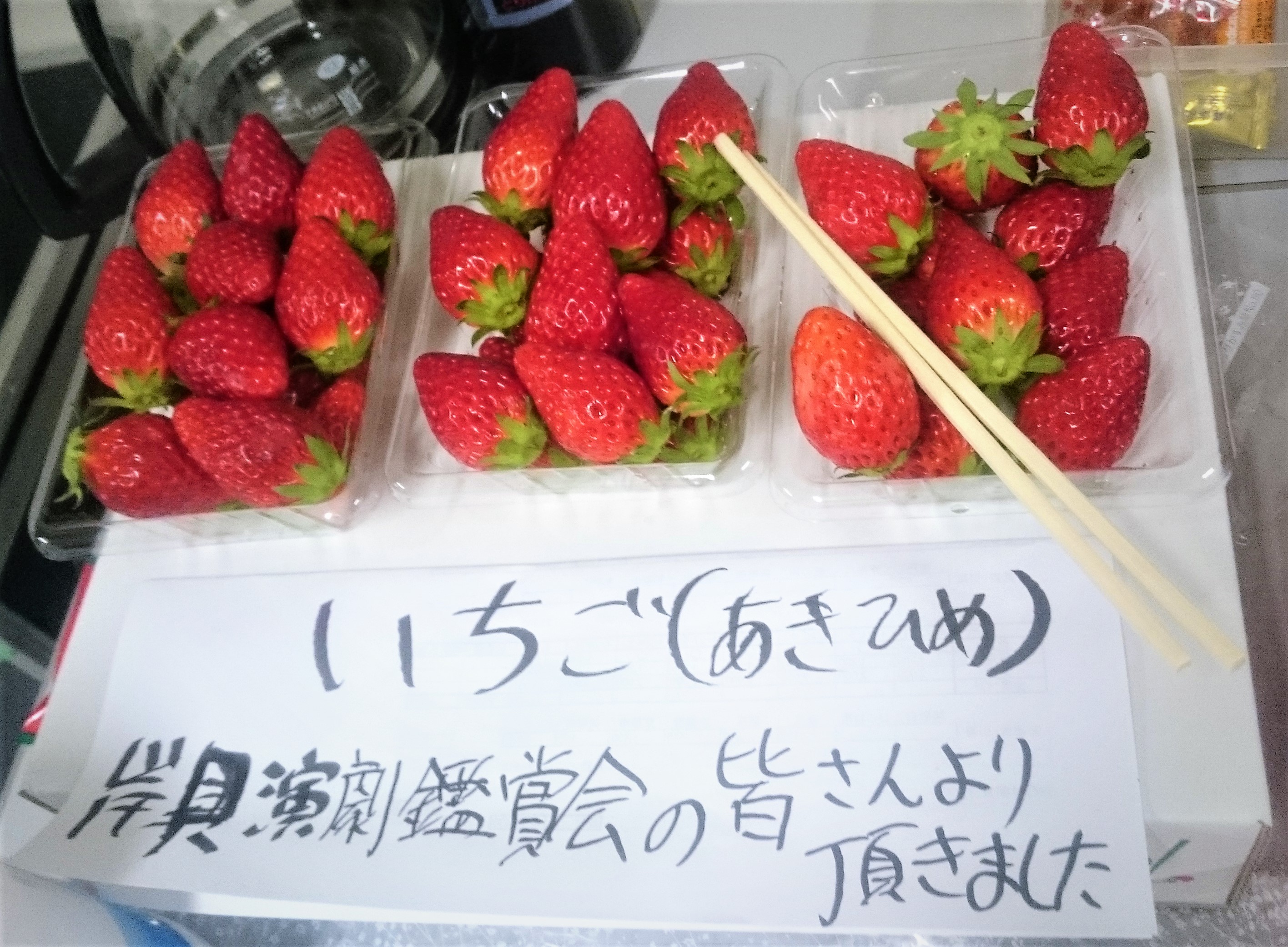 dsc_0113.jpg